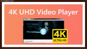 filmyzilla hollywood hindi dubbed movie